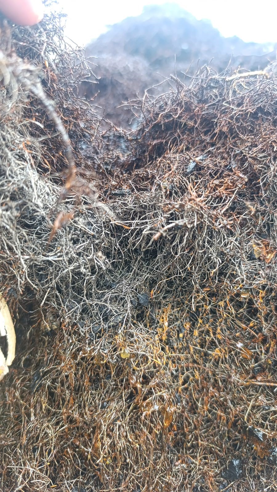 Tire Wire